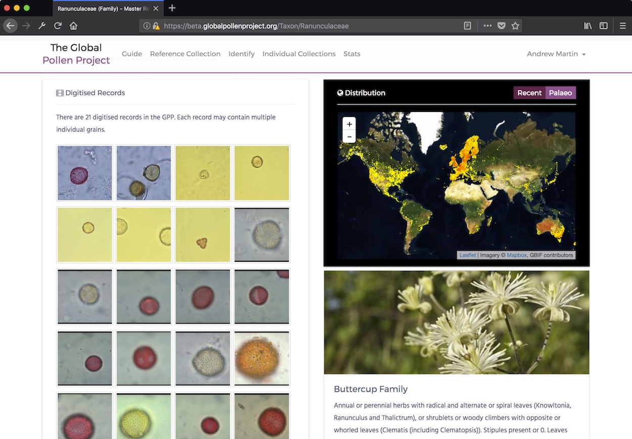 The global pollen project reference collection